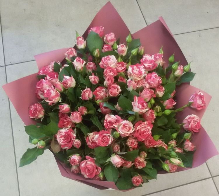 Букет 25 кустовых роз